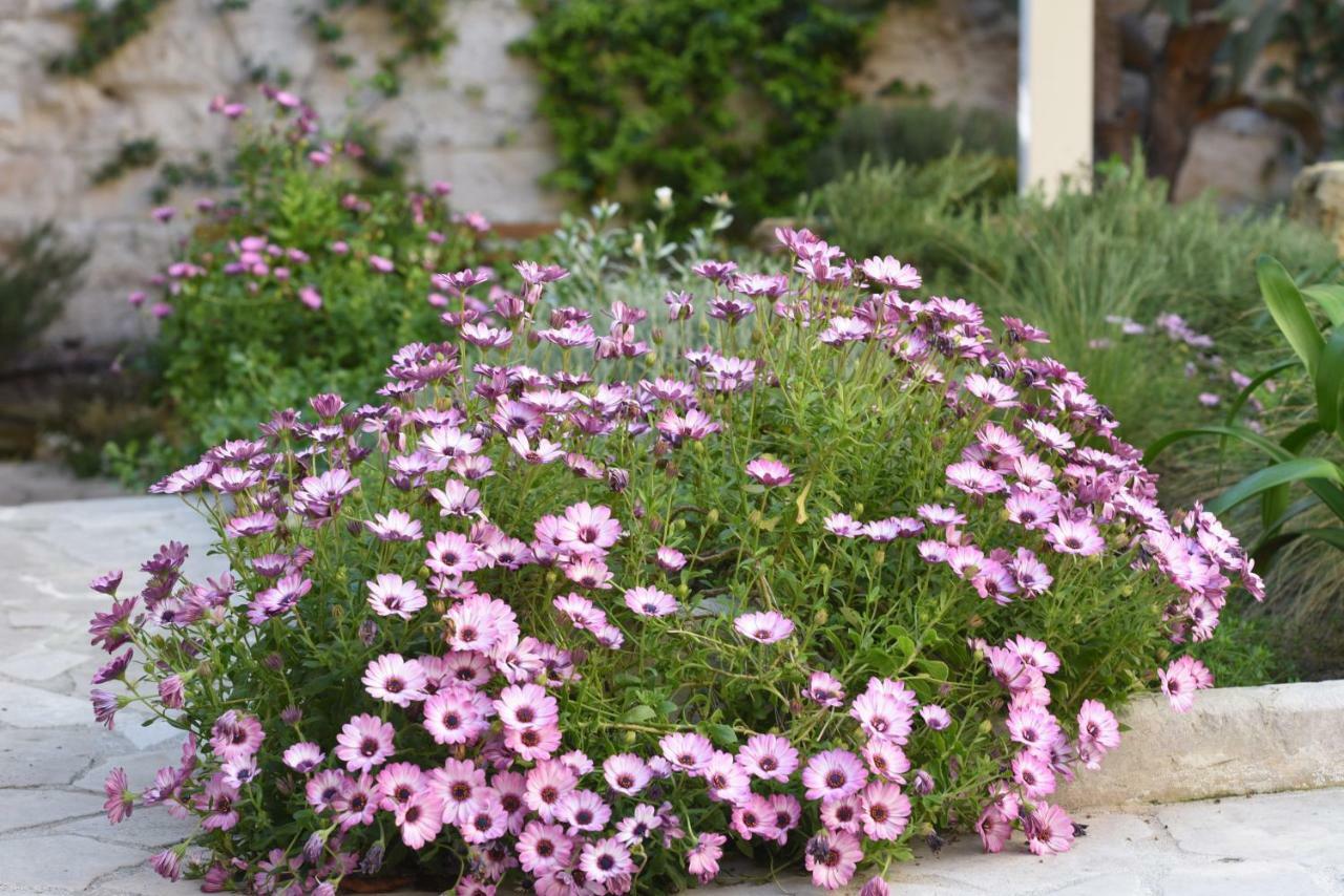 Il Giardino Di Benedetta Bed & Breakfast Lecce Exterior photo
